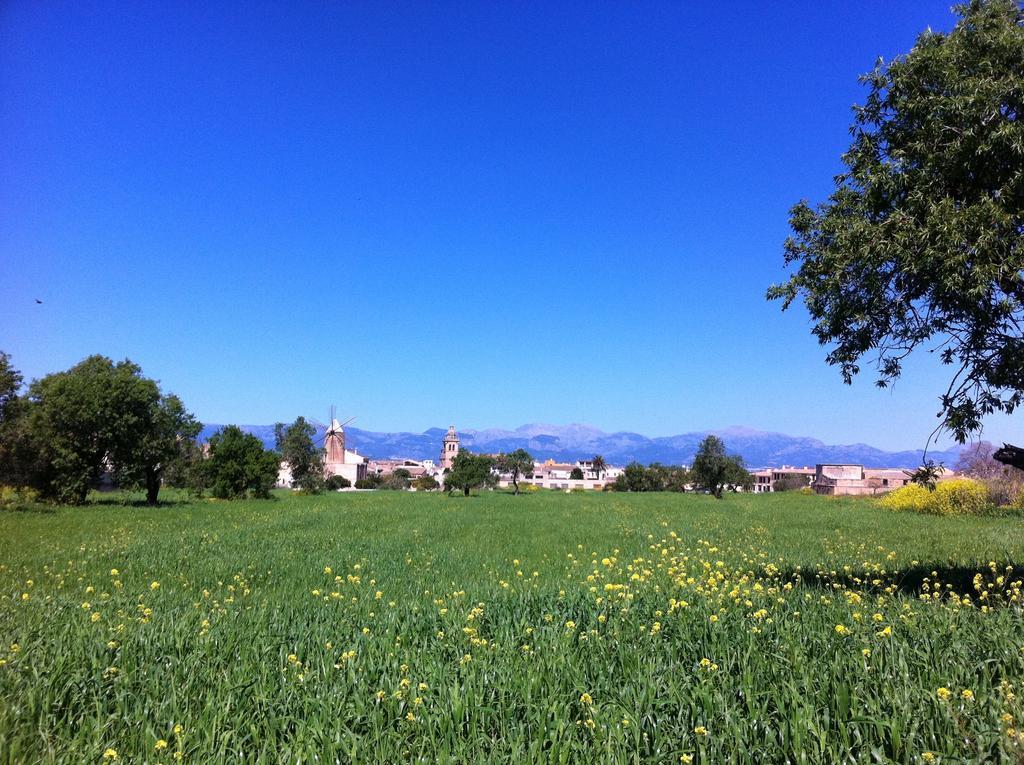 Frühstückspension Raims Algaida (Mallorca)